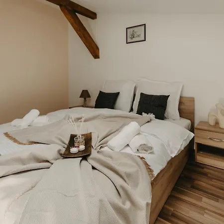 Agoston Galgon Holiday Apartment Timisoara