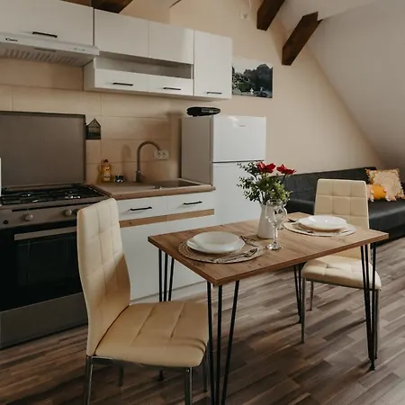 Apartament Agoston Galgon Holiday Timişoara