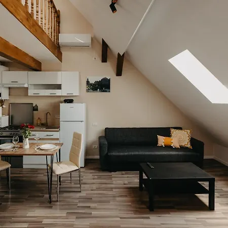 Agoston Galgon Holiday Apartment Timisoara