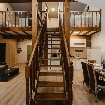 Agoston Galgon Holiday Apartament Timişoara