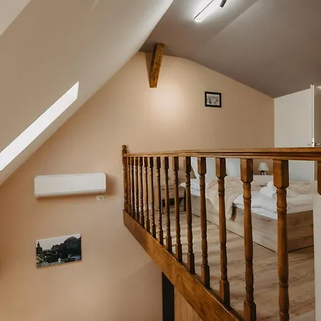 Agoston Galgon Holiday Timisoara