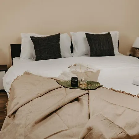 Agoston Galgon Holiday Apartament Timişoara